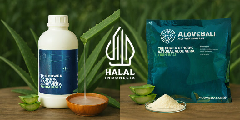 Aloe Vera gel and powder product with Halal certificate